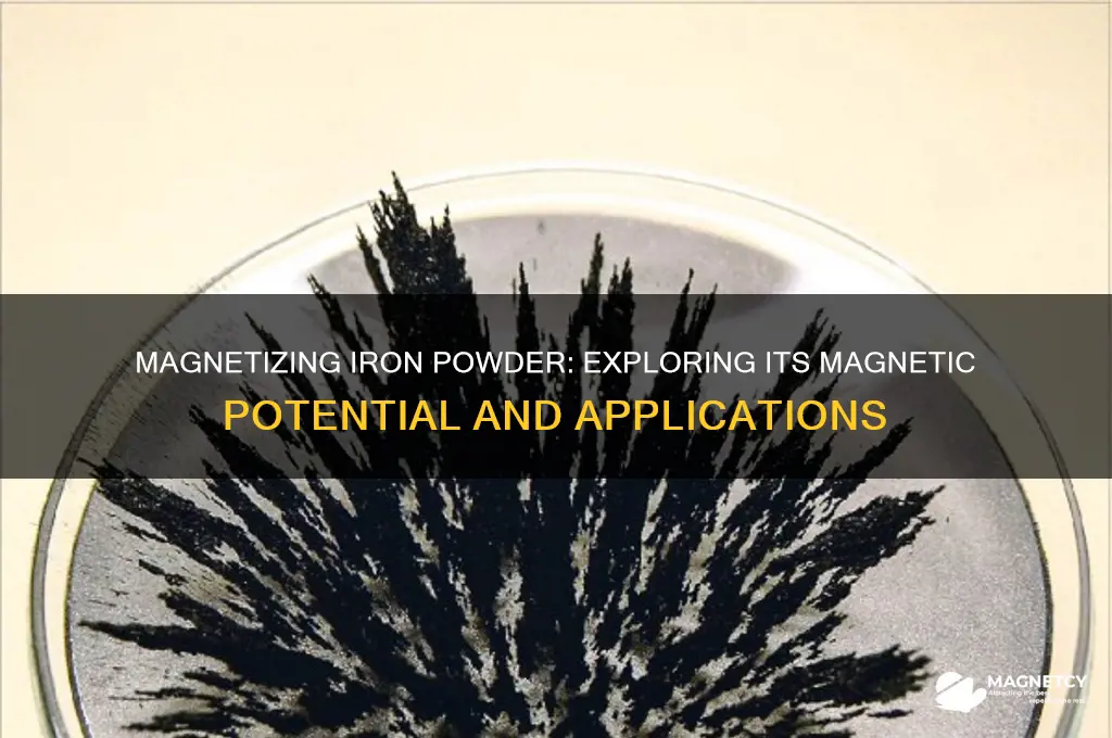 can iron powder be magnetized