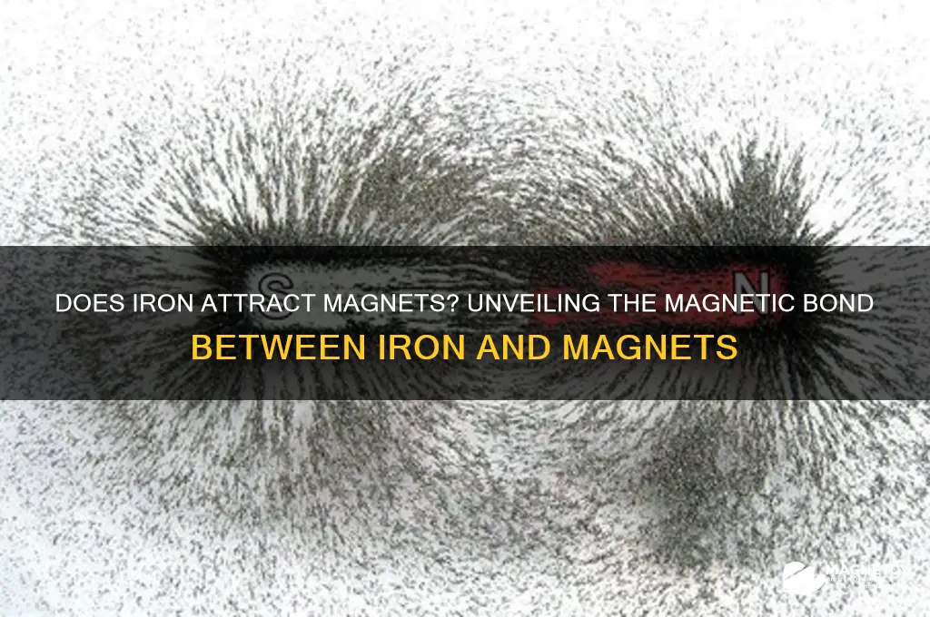 can iron stick to a magnet