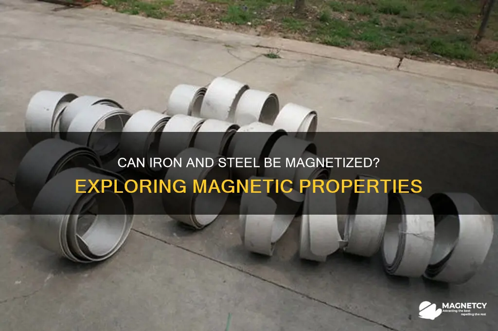 can ironsteel be magnetized
