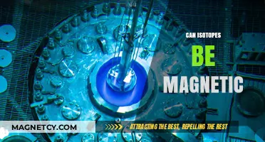 Exploring Magnetic Properties: Can Isotopes Exhibit Magnetism?