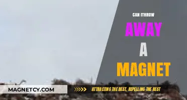 Can You Safely Dispose of a Magnet? Eco-Friendly Tips and Warnings