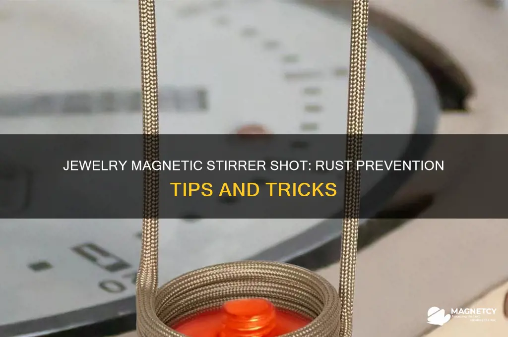 can jewelry magnetic stirrer shot rust