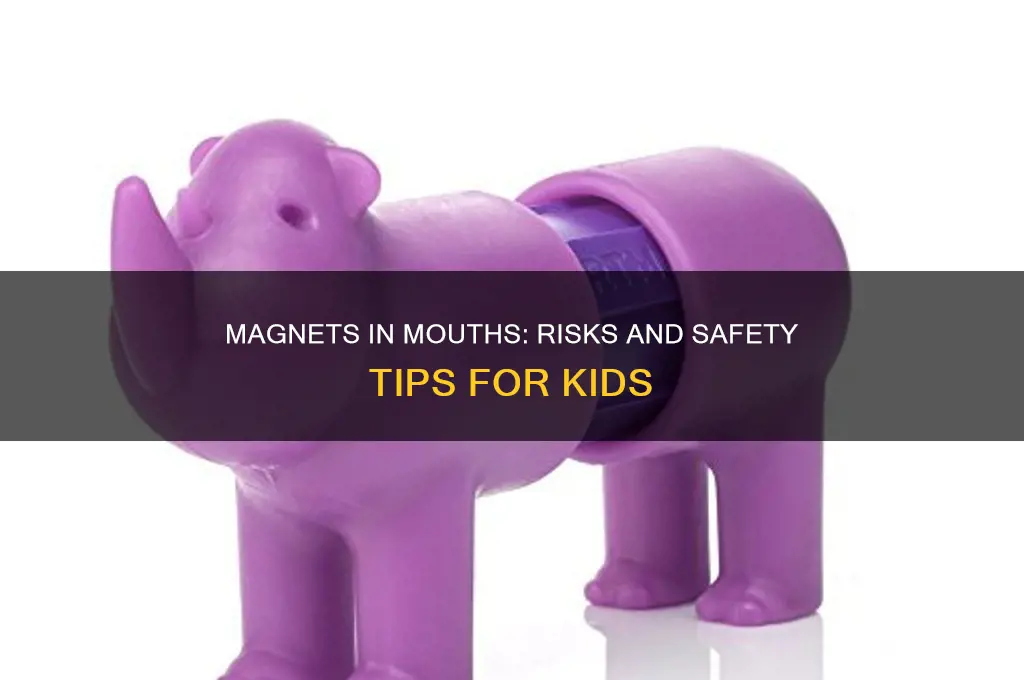 can kids put magnets in their mouth