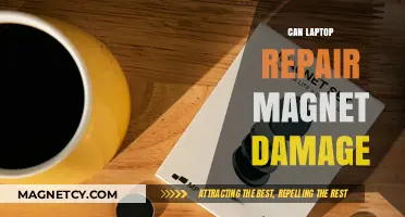 Can Magnet Exposure During Laptop Repair Cause Permanent Damage?