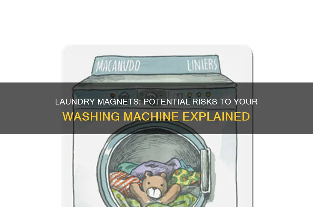 can laundry magnets harm the machine
