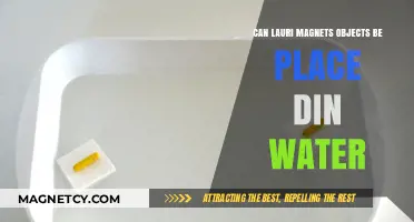 Can Lauri Magnets Attract Objects When Submerged in Water?