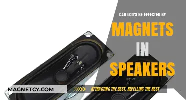 Magnets in Speakers: Do They Impact LCD Performance?