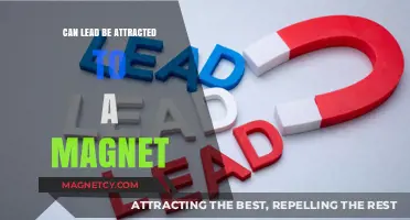 Is Lead Magnetic? Unveiling the Truth About Lead and Magnets