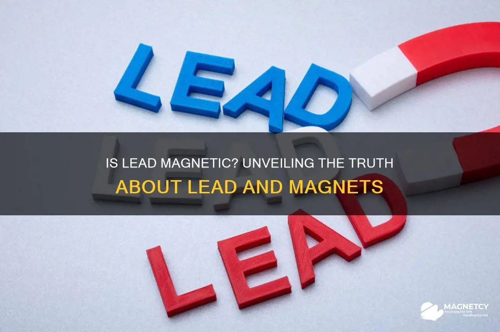 can lead be attracted to a magnet