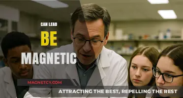 Is Lead Magnetic? Unveiling the Truth About Lead's Magnetic Properties