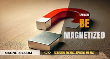 Can Lead Be Magnetized? Unveiling the Truth About Lead's Magnetic Properties