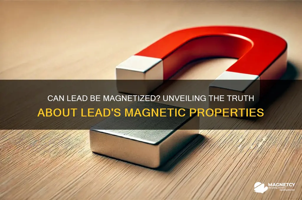 can lead be magnetized