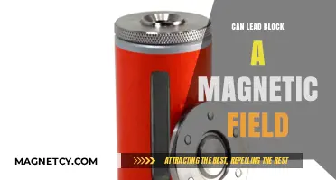 Can Lead Block Magnetic Fields? Exploring the Science Behind It