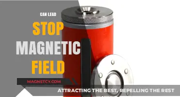 Can Lead Block Magnetic Fields? Exploring Material Interactions