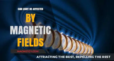 Magnetic Fields and Light: Exploring Their Intriguing Interaction