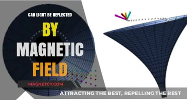 Exploring the Interaction: Can Light Be Deflected by Magnetic Fields?