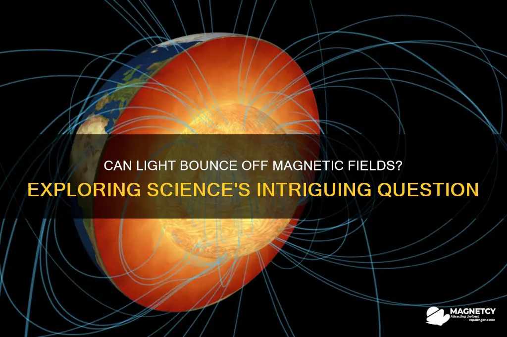 can light bounce off a magnetic field