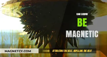 Can Liquids Be Magnetic? Exploring the Science Behind Magnetic Fluids