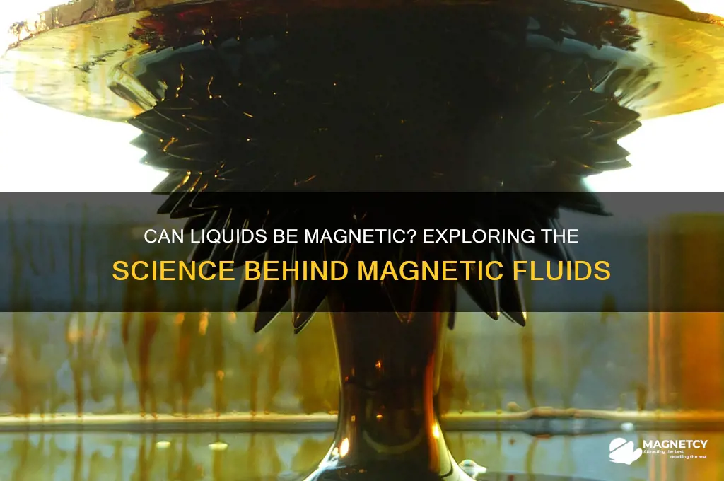 can liquid be magnetic