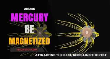 Can Liquid Mercury Be Magnetized? Exploring Its Magnetic Properties