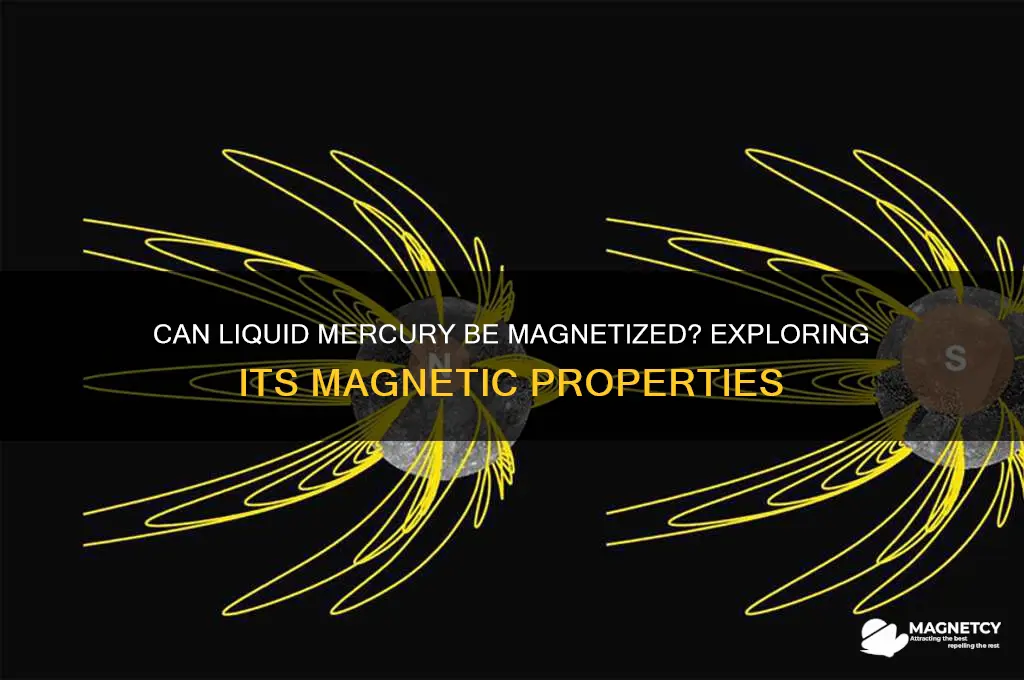 can liquid mercury be magnetized