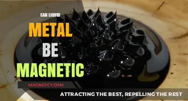 Exploring Liquid Metal Magnetism: Unveiling the Surprising Truth