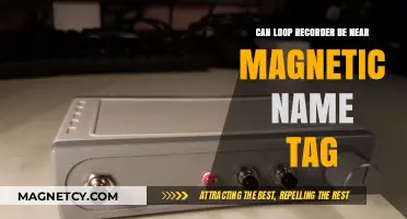Can Loop Recorders Safely Function Near Magnetic Name Tags?
