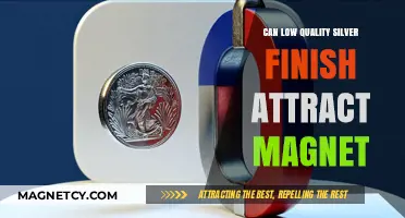 Does Low-Quality Silver Finish Attract Magnets? Unveiling the Truth