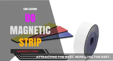 LX2000 Magnetic Stripe Capabilities: What You Need to Know
