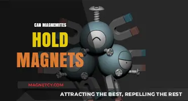 Can Magnemites Hold Magnets? Exploring Magnetic Abilities in Pokémon
