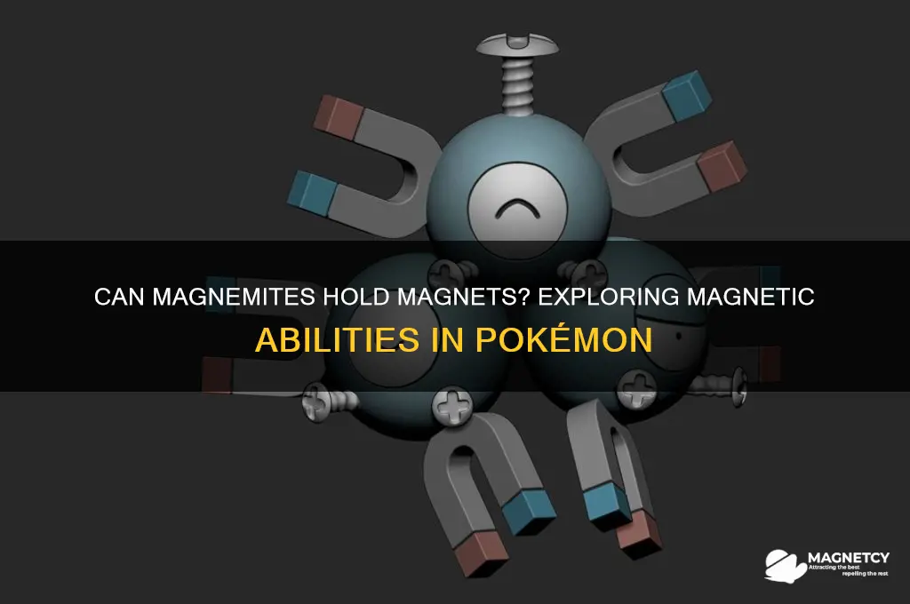 can magnemites hold magnets
