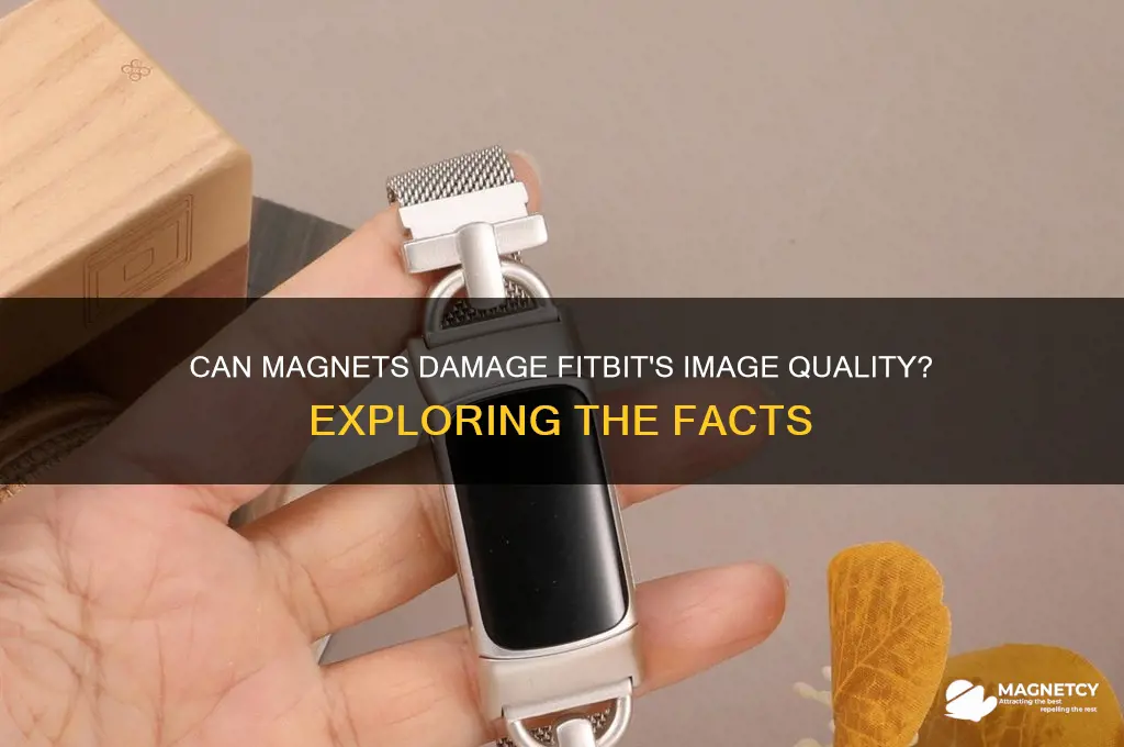 can magnet acquire image fitbits