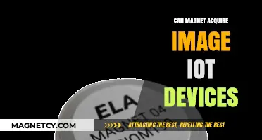 Can Magnets Capture Images from IoT Devices? Exploring Security Risks