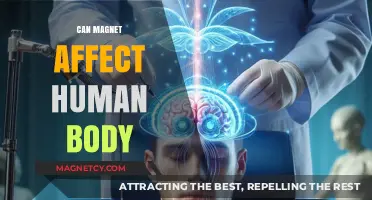 Magnetic Fields and Human Health: Myths vs. Scientific Facts