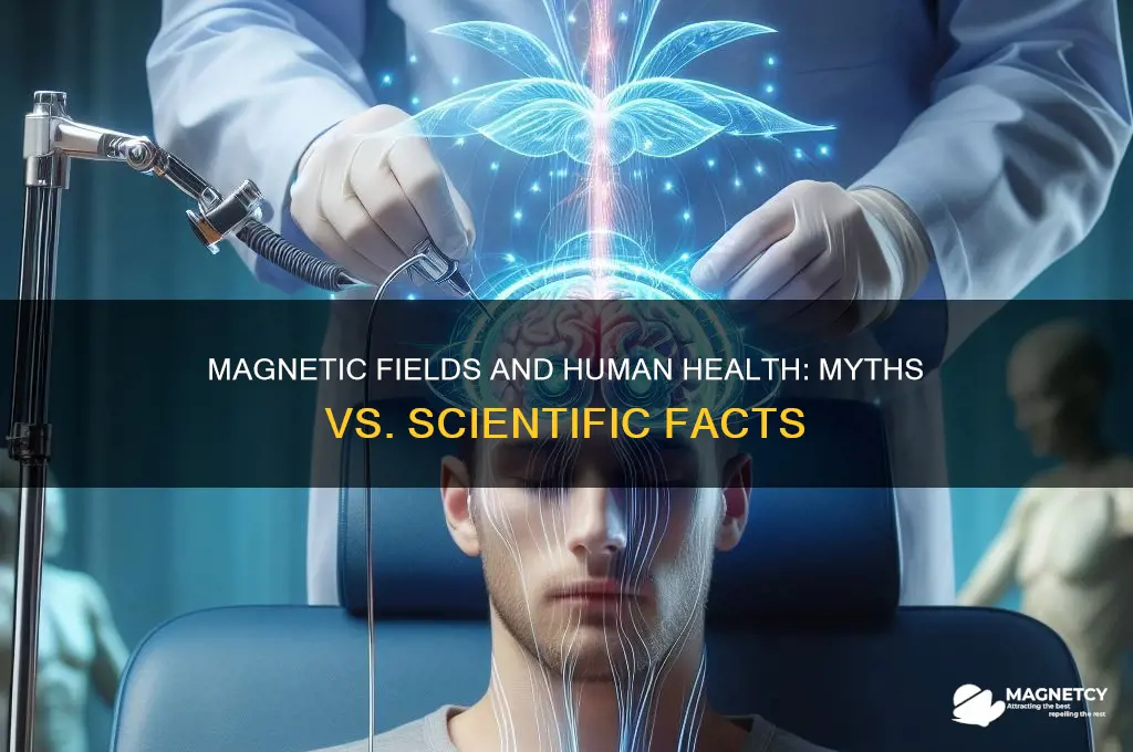 can magnet affect human body
