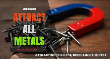 Do Magnets Attract All Metals? Unveiling the Magnetic Truth