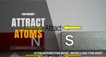 Can Magnets Attract Atoms? Exploring the Science Behind Magnetic Forces