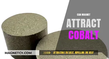 Can Magnets Attract Cobalt? Exploring Magnetic Properties and Interactions