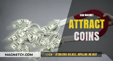 Can Magnets Attract Coins? Unveiling the Magnetic Truth About Currency