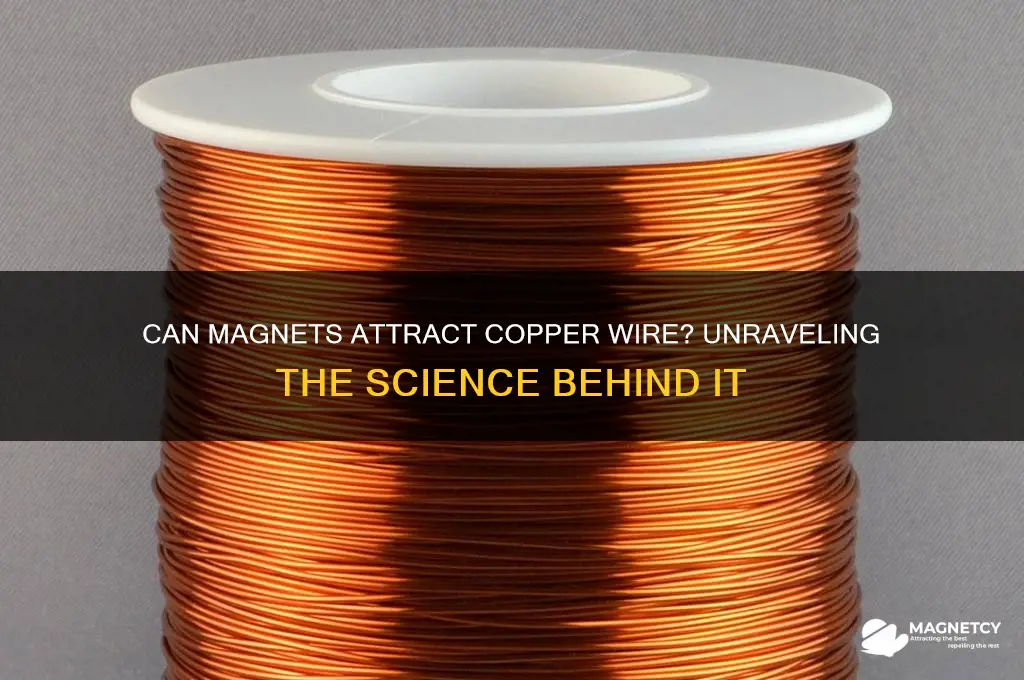 can magnet attract copper wire
