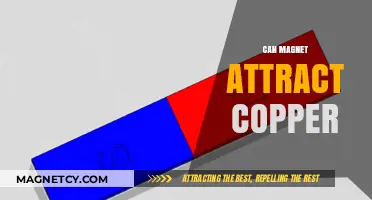 Can Magnets Attract Copper? Unraveling the Science Behind Magnetic Interactions