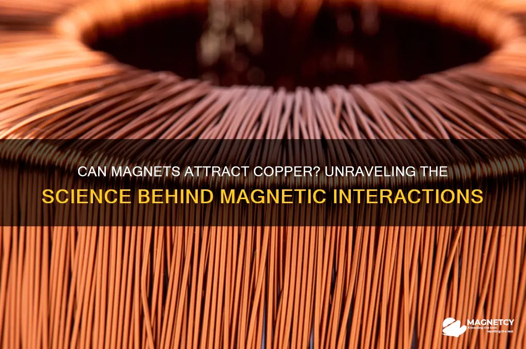 can magnet attract copper
