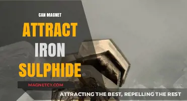 Can Magnets Attract Iron Sulphide? Exploring Magnetic Properties and Interactions