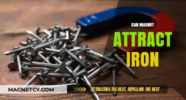 Can Magnets Attract Iron? Unveiling the Magnetic Force Mystery