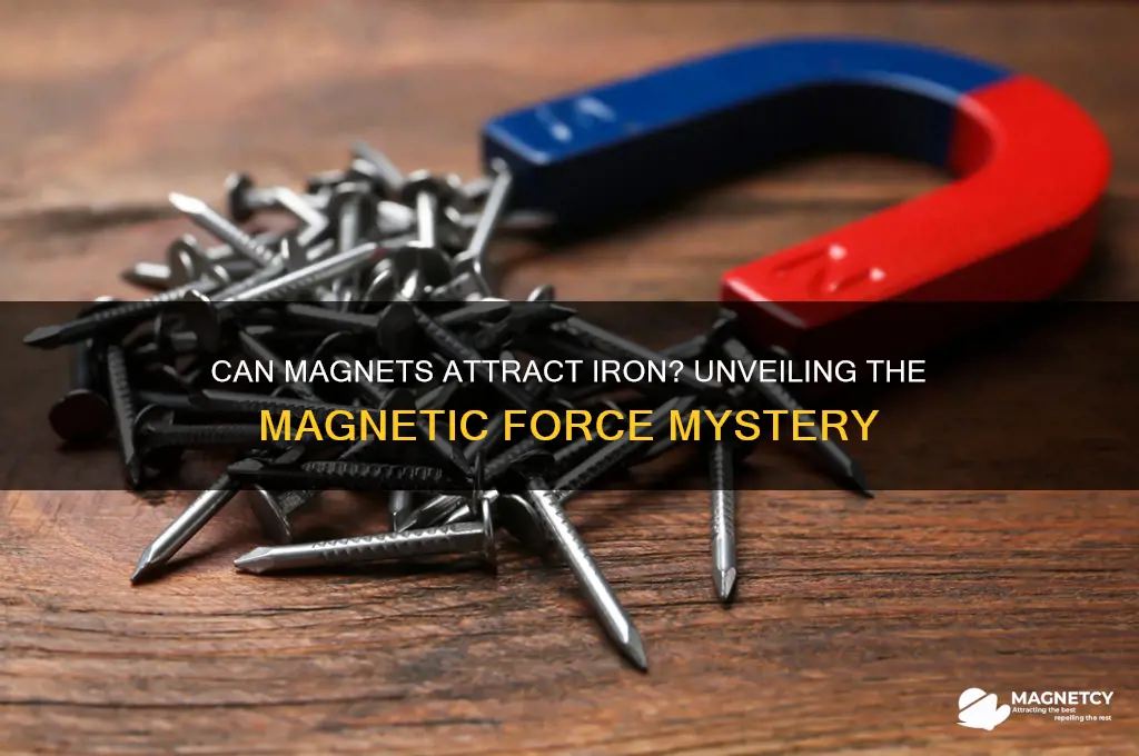 can magnet attract iron