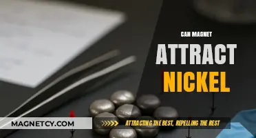 Can Magnets Attract Nickel? Unveiling the Magnetic Properties of Nickel