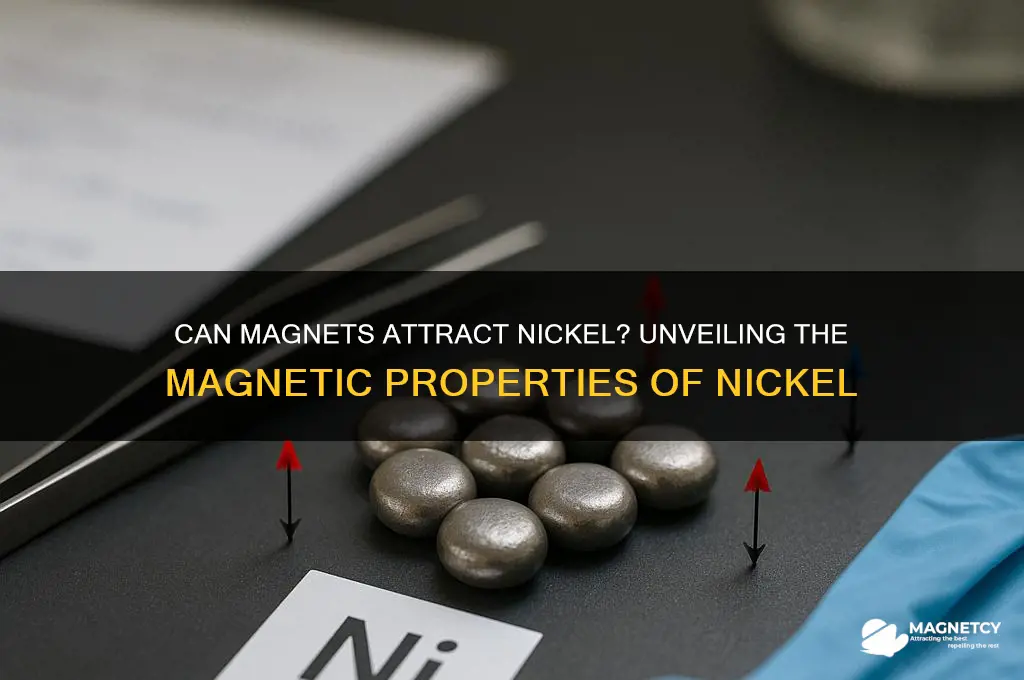 can magnet attract nickel