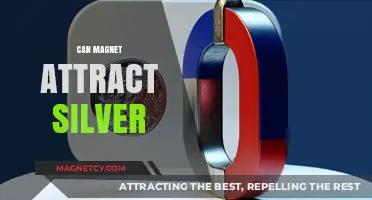 Can Magnets Attract Silver? Unveiling the Truth Behind Metal Magnetism
