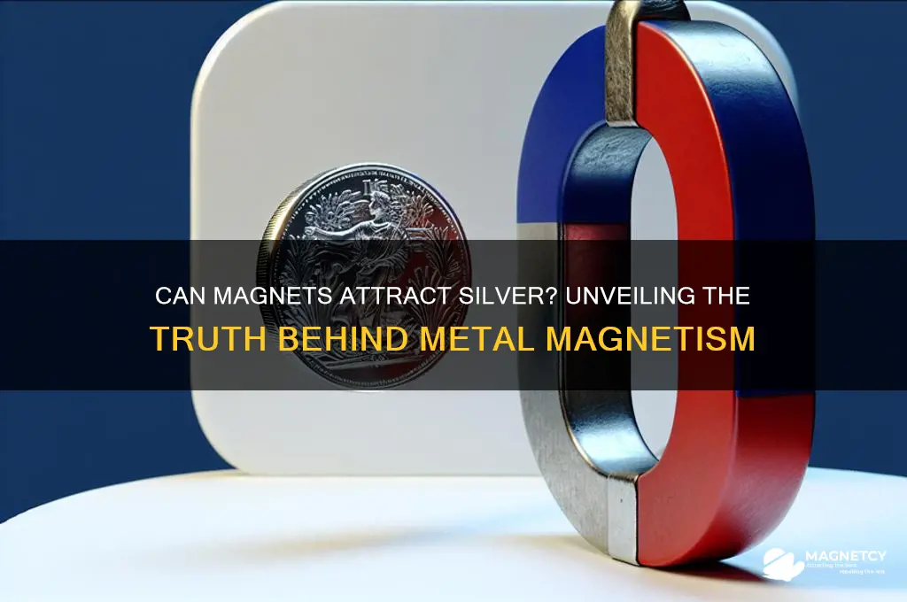 can magnet attract silver
