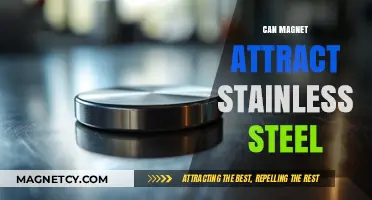 Can Magnets Attract Stainless Steel? Unraveling the Magnetic Mystery